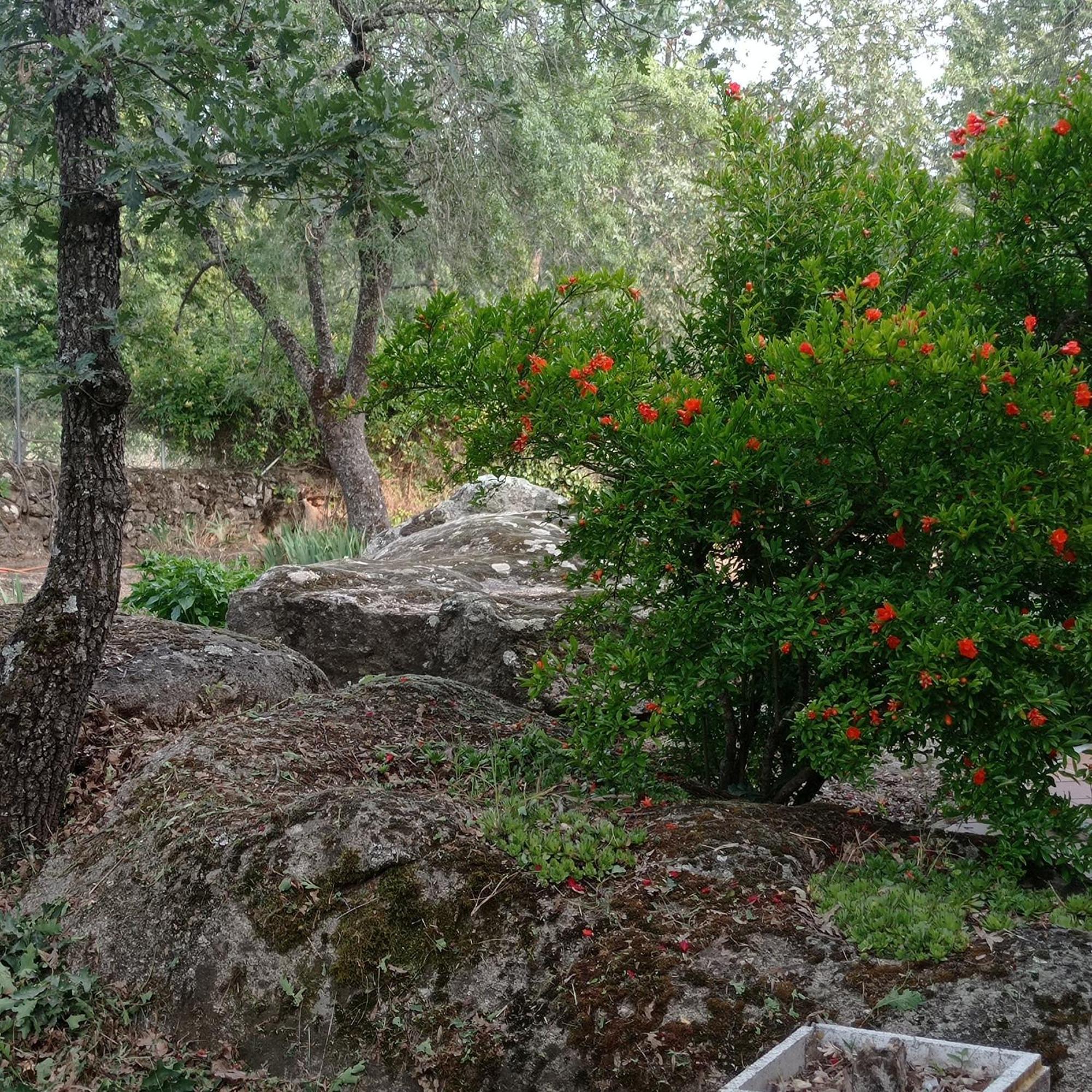Casa Rural Vinas Perdidas مْبيخار المظهر الخارجي الصورة